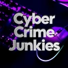 Cyber crime junkies