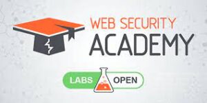 web security academy